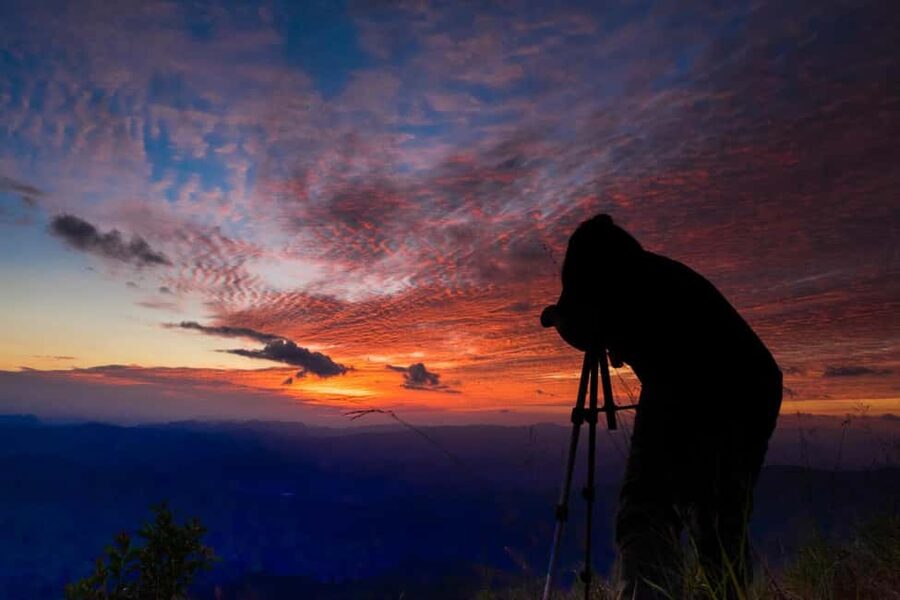 Sharm El-Sheikh: Camel Riding, Stargazing, BBQ Dinner & Show - Who will enjoy this evening most?