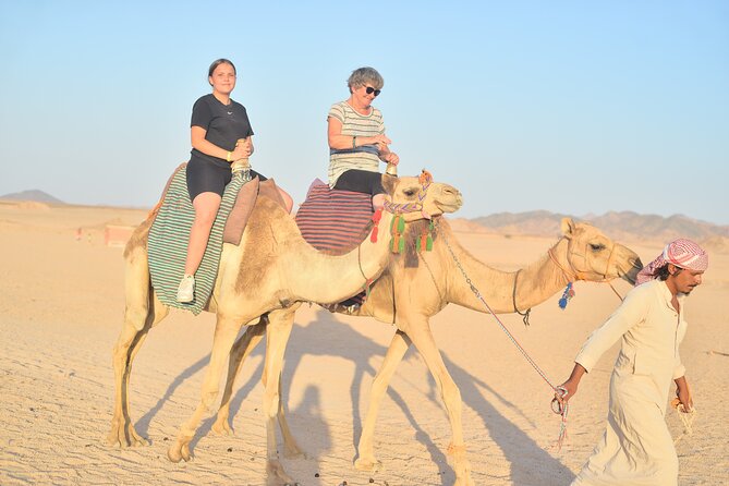Sharm El-Sheikh: Ultimate ATV Quad, Stargazing & BBQ Dinner - Who should book this experience?
