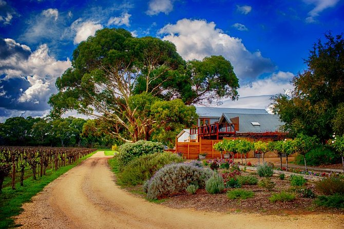 Small-Group River Murray Dark Sky and Sunset Tour with Dinner - Is $214.46 a fair price?