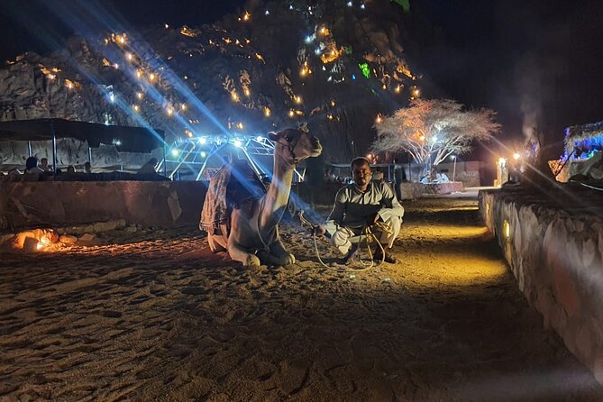 Star Gazing & Bedouin Dinner Trip in Sharm El Sheikh Desert - Habak tea and bread at the Bedouin tent