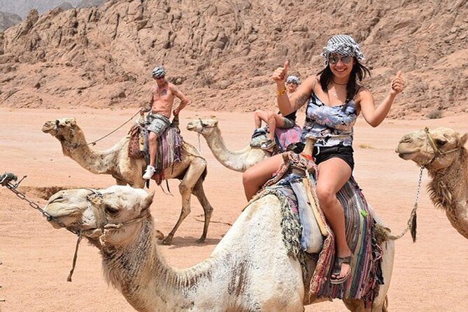 Star Gazing & Bedouin Dinner Trip in Sharm El Sheikh Desert - A quiet camel ride across the Sinai desert