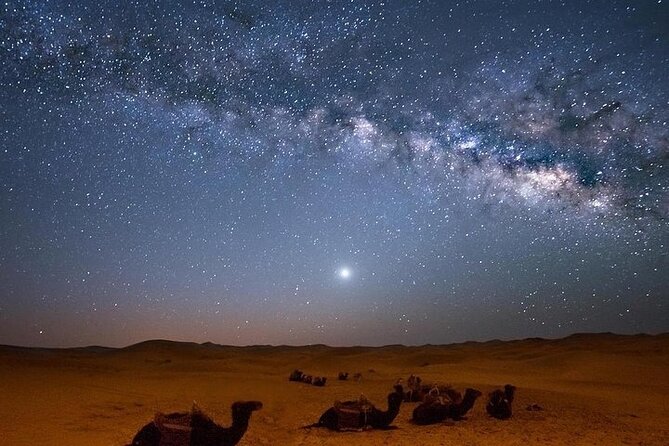 Star Gazing Safari tour By ATV Quad, Bedouin Dinner, telescope - Sharm El Sheikh - Key things to know before booking