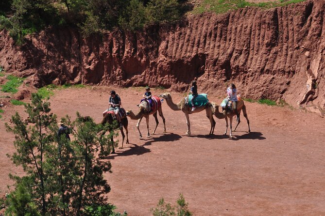 Stargazing and camel ride in the agafay desert - Riding a camel as the sun goes down