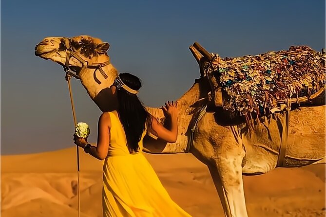 Stargazing and camel ride in the agafay desert - Atlas Mountain views at the best hour