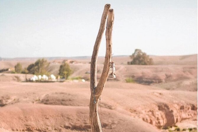 Stargazing and camel ride in the agafay desert - What Abdul adds to the experience