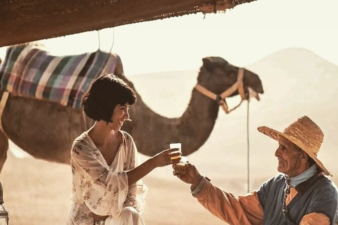 Stargazing and camel ride in the agafay desert - Is $94.24 a fair price?