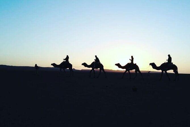 Stargazing and camel ride in the agafay desert - Who should book this four-hour outing?