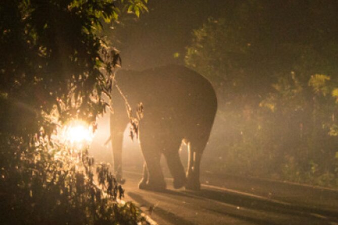 Stargazing and Moonlight Experience - The 7:00 pm departure and the first stretch into darkness