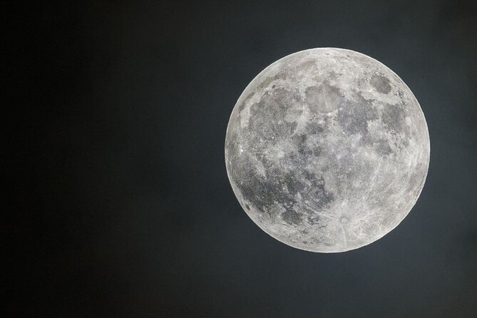 Stargazing and Moonlight Experience - The moonlit bush route and its wildlife chances
