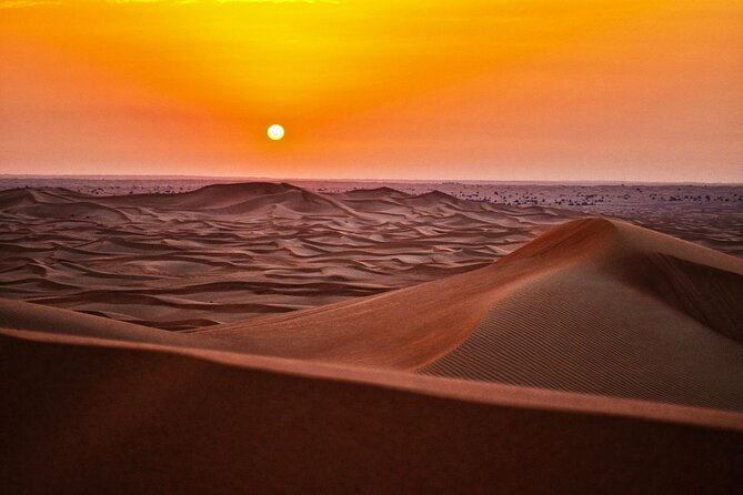 Stargazing in the Desert from Riyadh with Dinner - The chance to meet Bedouin camel herders
