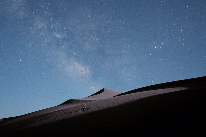 Stargazing in the Desert from Riyadh with Dinner - Dinner beside the bonfire before the stars appear