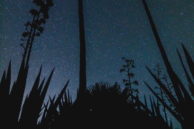 Stargazing Night in the Tabernas Desert - Getting There Without Stress