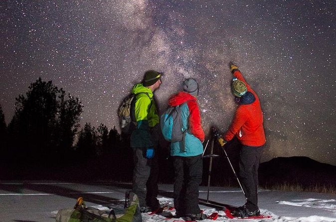 Stargazing Tour - Kananaskis After Dark - The meadow stop and the night sky