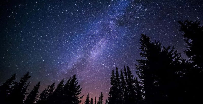 Stroll among the stars : Stargazing and Astronomy Tour - Key points at a glance