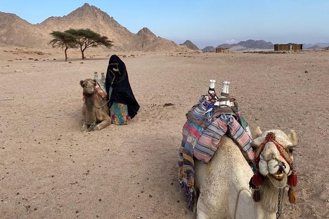 Sunset, Candle Light Dinner & Star Gazing from Hurghada - Guides, drivers, and the small-group feel