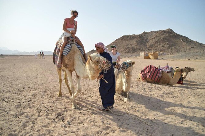 Super Safari 5In1quad Camel Ride Dinner African Nubian show star gazing in sharm - The 45-minute quad safari across Sinai