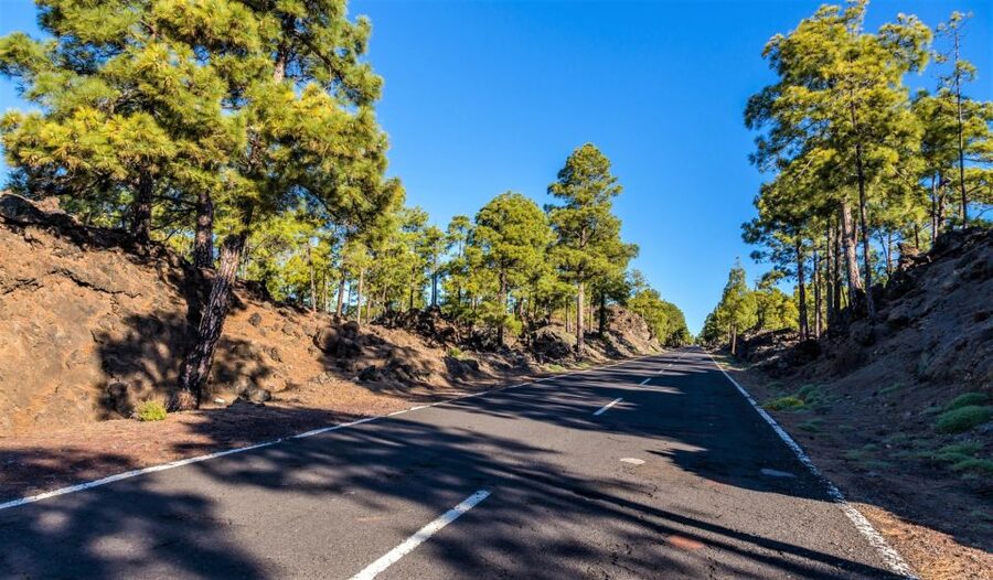 Teide: Guided Sunset & Stargazing Tour by Night with Dinner - Who will enjoy this Teide evening?
