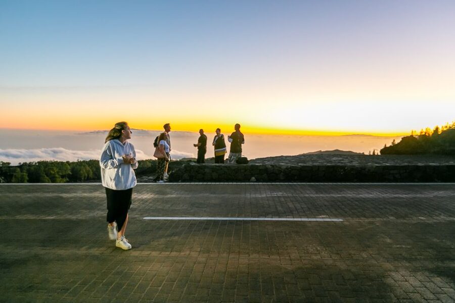 Teide National Park: Sunset & Stargazing Safari with Dinner - Pickup points and timing in South Tenerife