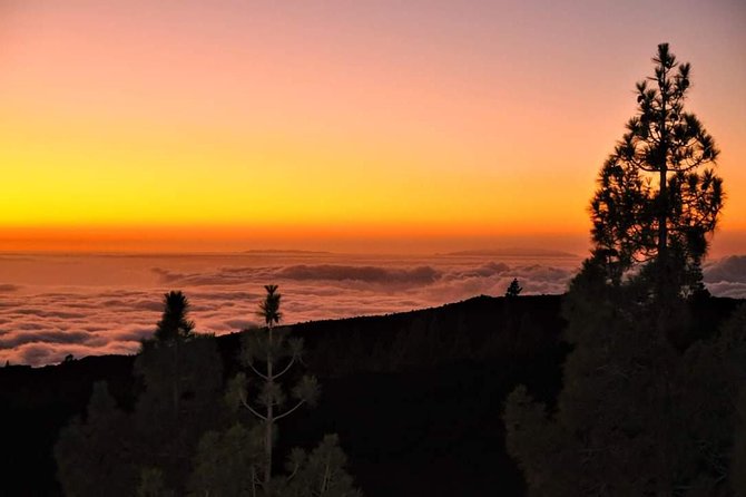 Teide National Park Sunset & Stargazing with Dinner (Star Safari) - Cold air, high altitude, and what to pack