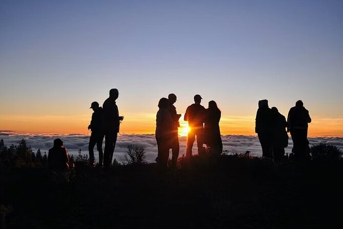 TEIDE NIGHT, Stargazing Bus Tour, Meal & Drinks included! - The astronomy session with lasers and telescopes
