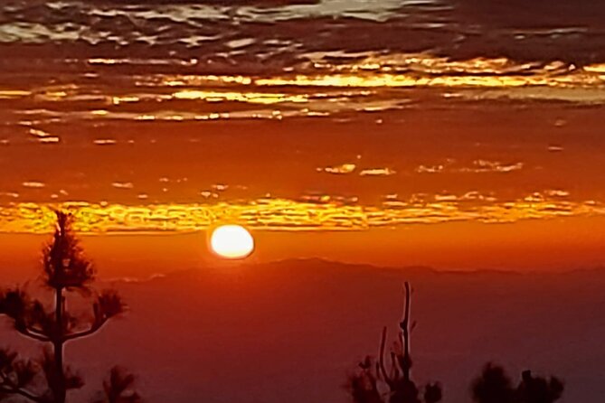 TEIDE NIGHT, Stargazing Bus Tour, Meal & Drinks included! - Is $117.11 a fair price?