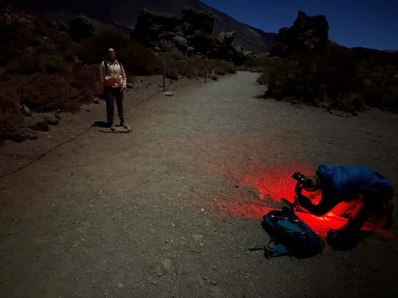 Tenerife: Stargazing Walk in Teide National Park - Key details at a glance