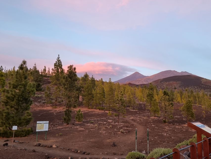 Tenerife: Sunset and Stargazing at Teide National Park - Warm drinks, jackets, and the free photograph
