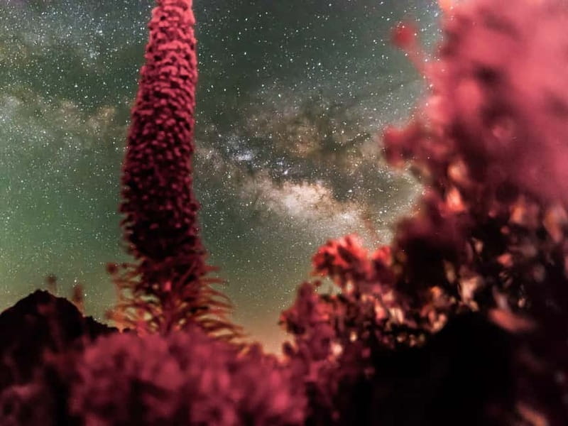 Tenerife: Teide Stargazing with an Astrophysicist - Weather and cancellation: plan with flexibility
