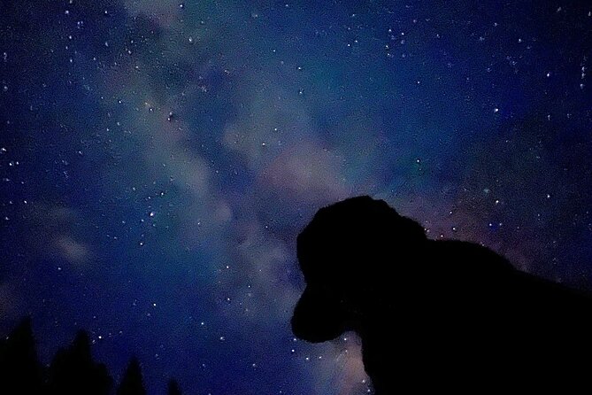 The Banff Stargazing Tour - 2hr Walking Tour - Is the price of $68.34 good value?