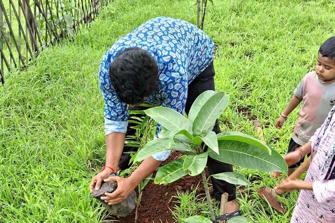 Tour De Small Town Maharashtra Nature Trekking and Star Gazing - Five useful things to know before you go
