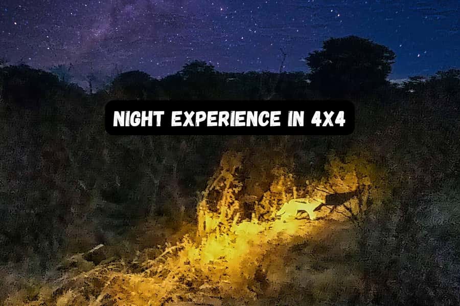 Victoria Falls: Bush Experience and Stargazing D-F-ES-GB - Quick points to know before booking