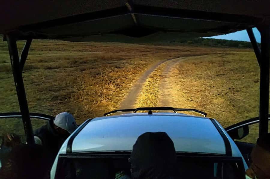 Victoria Falls: Bush Experience and Stargazing D-F-ES-GB - Why a night safari in Victoria Falls feels different