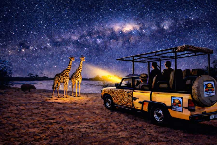 Victoria Falls: Bush Experience and Stargazing D-F-ES-GB - Searching for elephants, buffalo, kudu, and antelope