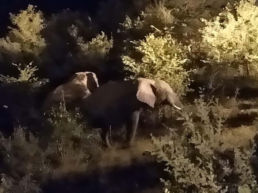 Victoria Falls: Bush Experience and Stargazing D-F-ES-GB - The Star Viewer Jeep and the African night sky