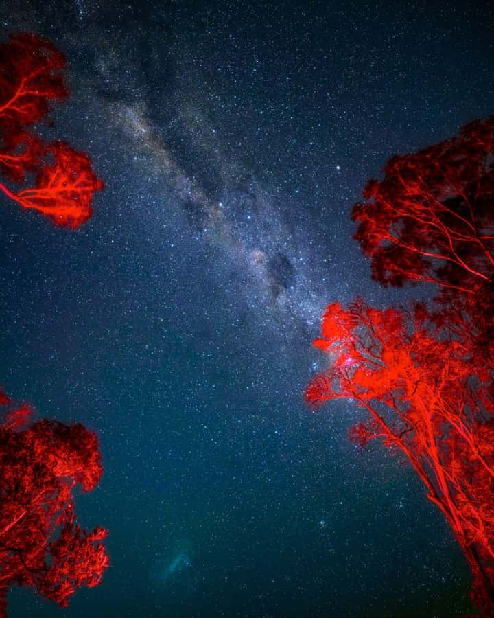 Vincentia: Jervis Bay Beach Stargazing with an Expert - Weather is the main risk