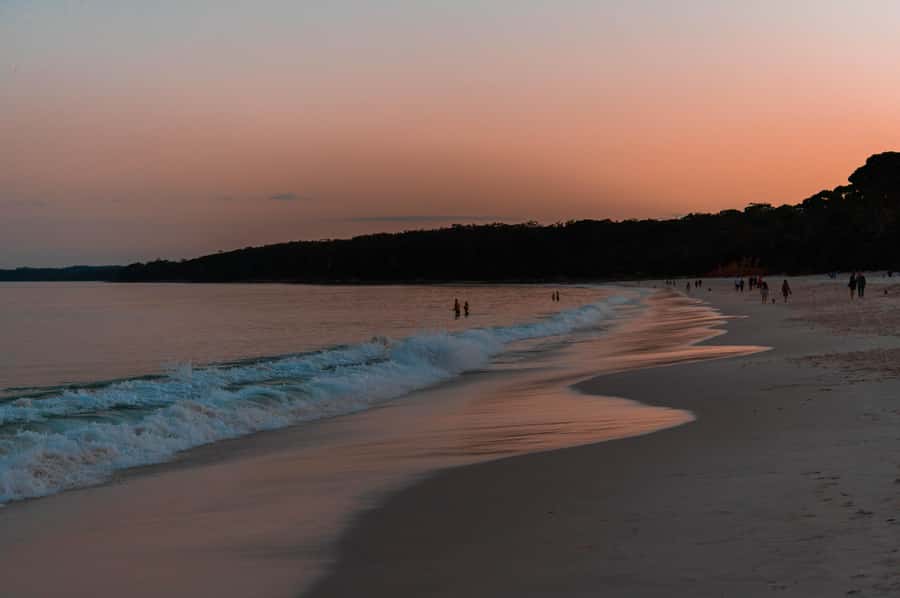 Vincentia: Jervis Bay Beach Stargazing with an Expert - The first 20 minutes: finding your way by starlight