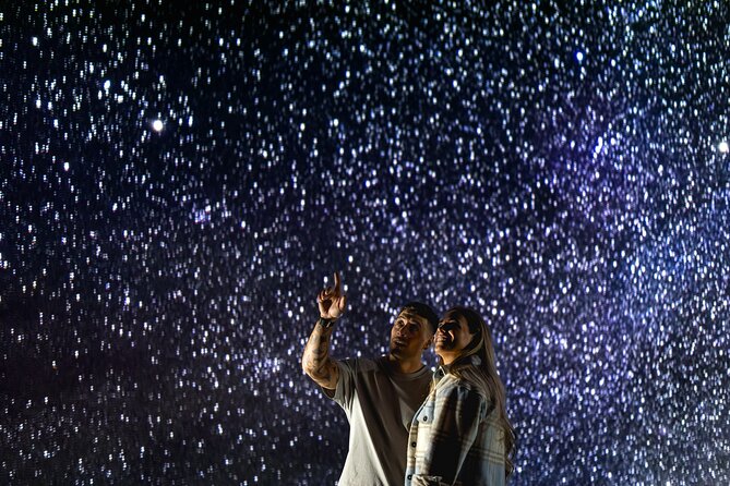 Virtual Stargazing & Astronomy Experience in Lake Tekapo - A 45-minute presentation with an approximately one-hour schedule