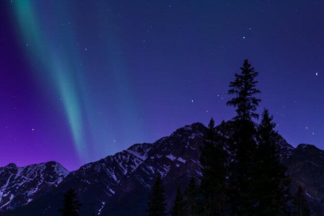 Wildlife Wild Skies: Jasper Planetarium Combo - Two Jasper experiences in one evening