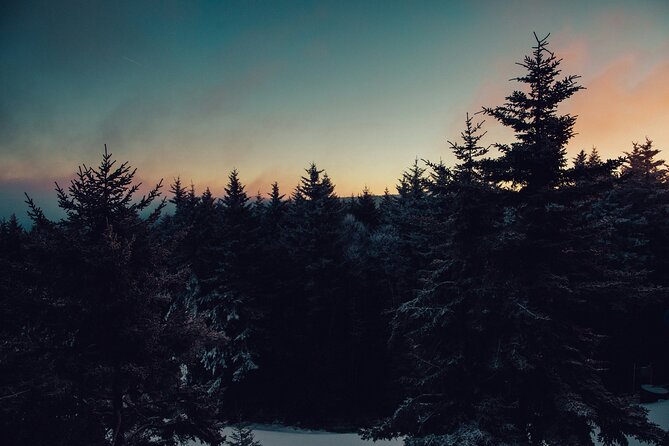 Wildlife Wild Skies: Jasper Planetarium Combo - Should you book the Jasper wildlife and planetarium combo?