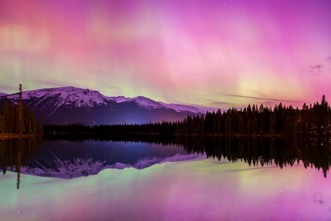 Wildlife Wild Skies: Jasper Planetarium Combo - Searching Jasper National Park for wild animals